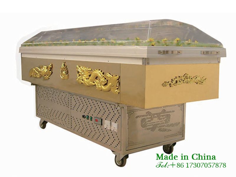 Luxury refrigerated viewing coffin