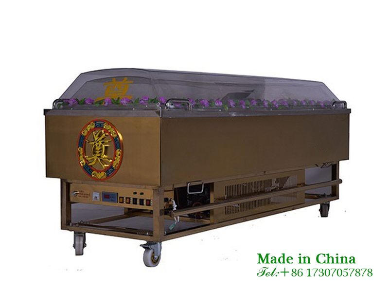 Body storage ice coffin