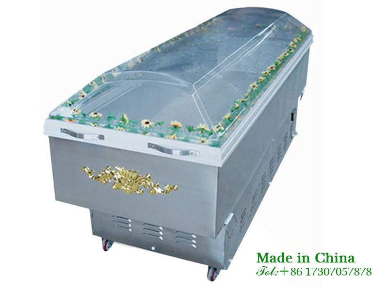 Ordinary refrigerated viewing coffin