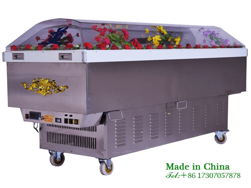 Body refrigerated coffin