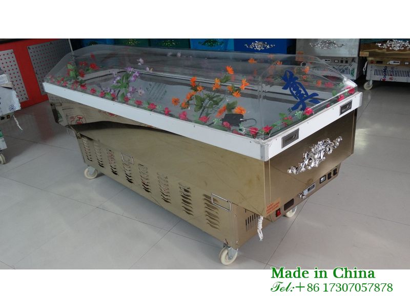 High end constant temperature ice coffin