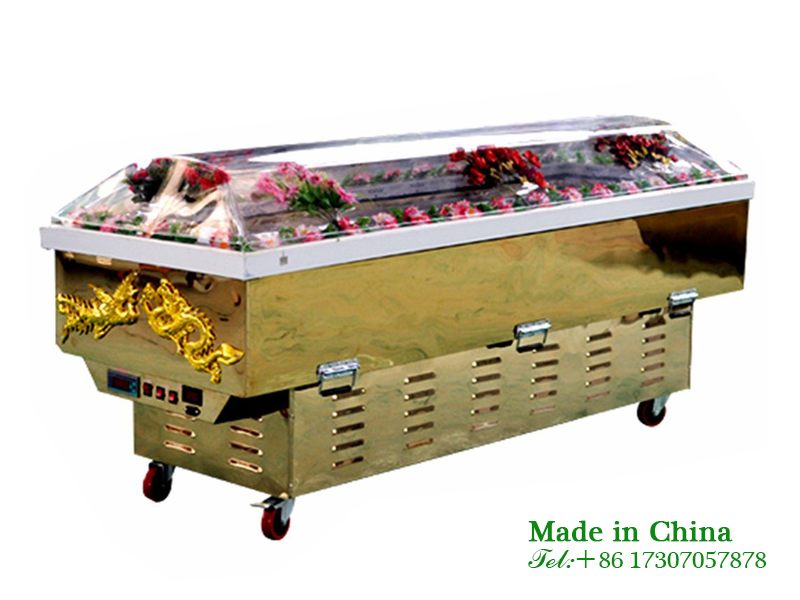 Body refrigerated ice coffin