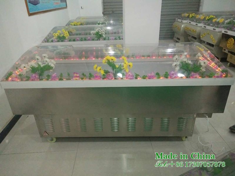 Refrigerated ice coffin