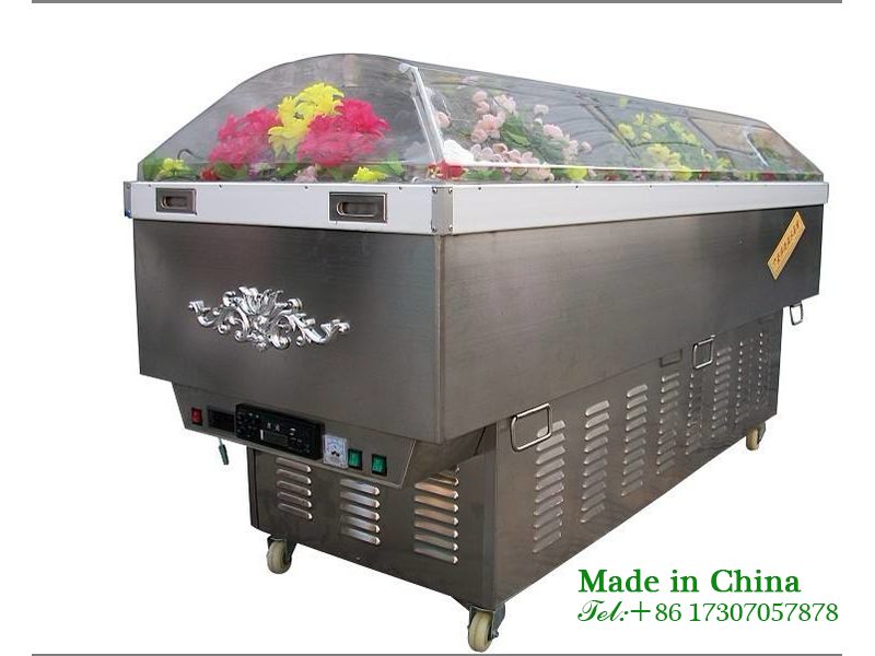 Corpse frozen coffin