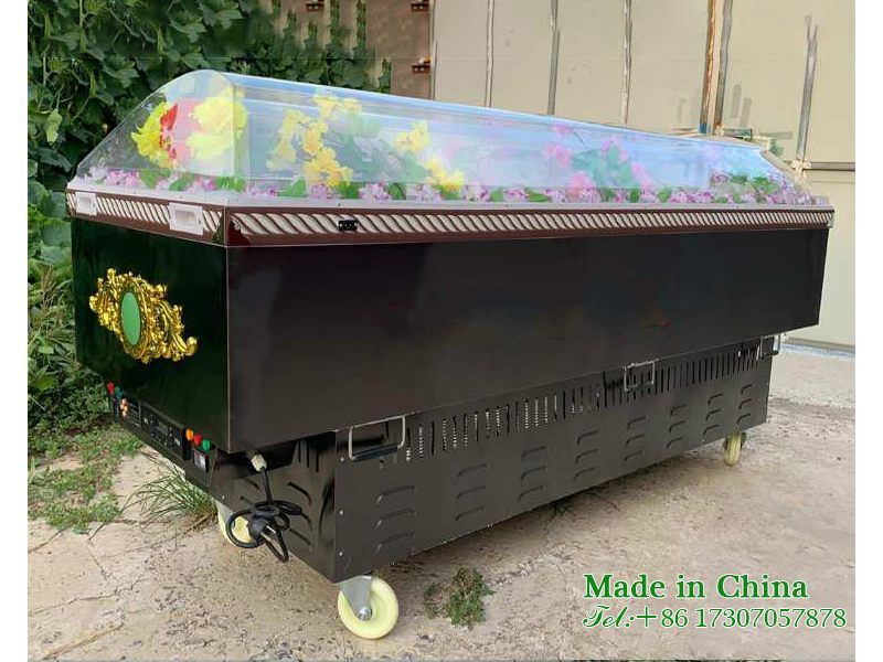 Ice Coffin Looking at the Coffin