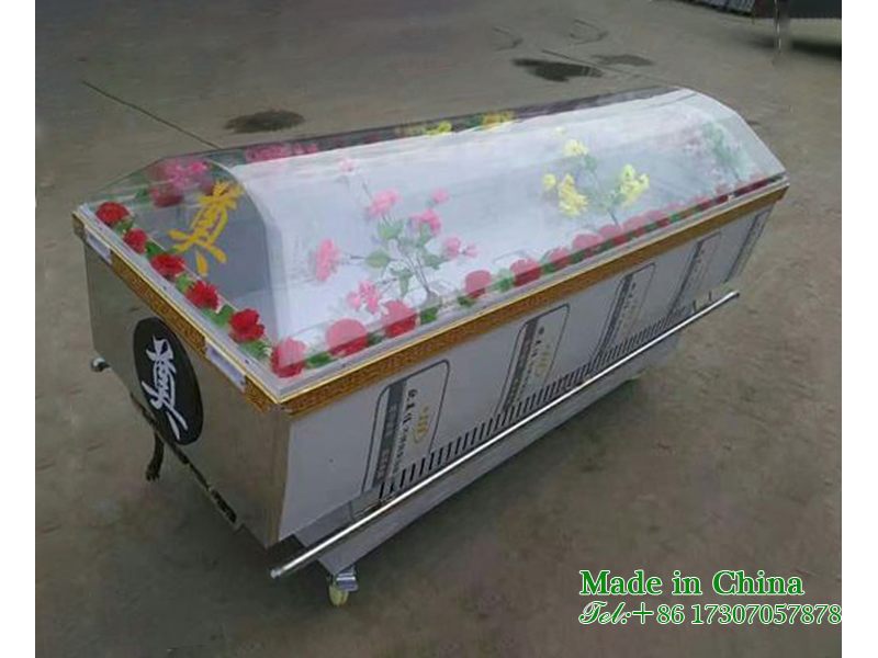 Stainless steel ice coffin