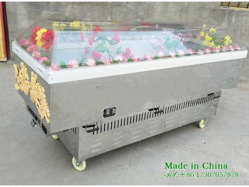 Stainless steel corpse ice coffin