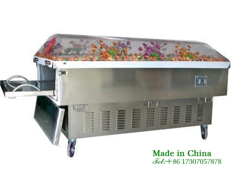 Crematorium Ice Coffin