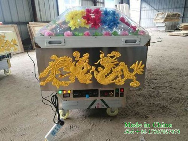 Funeral Parlor Frozen Coffin