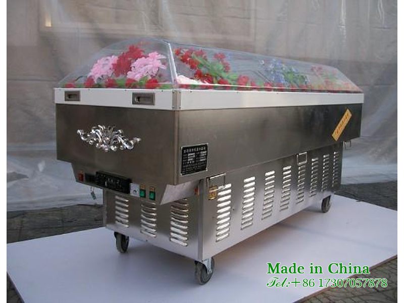 Farewell Hall Low Temperature Ice Coffin