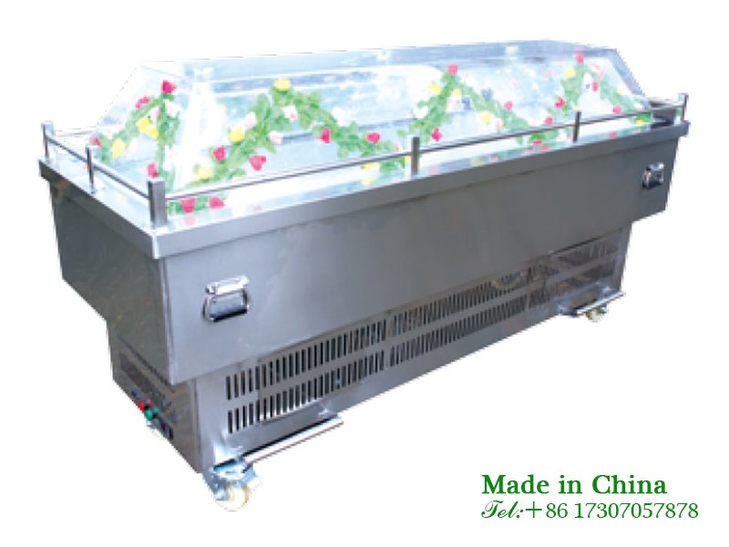Stainless steel viewing coffin