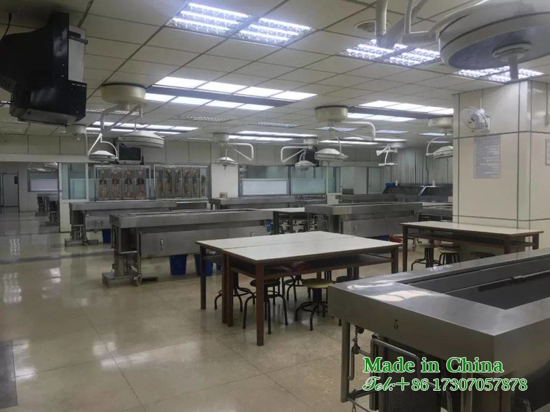 Experimental Anatomy Room