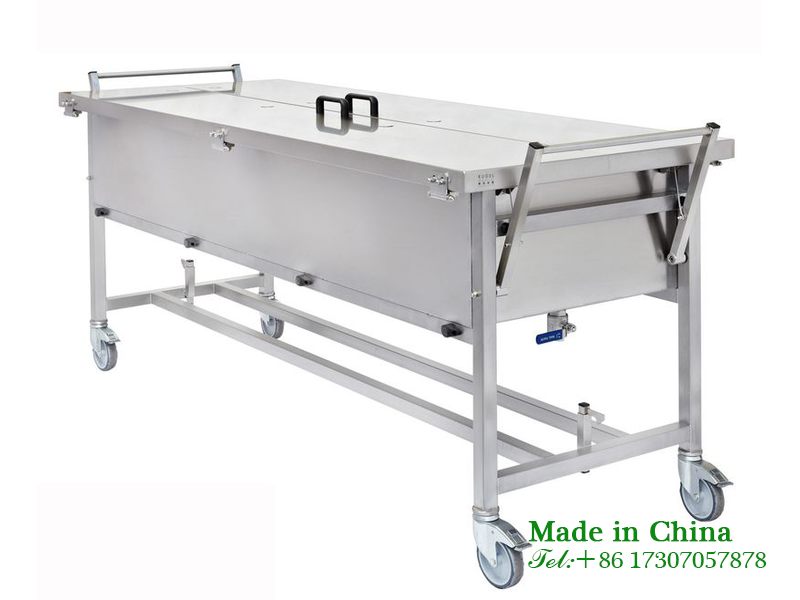 Forensic Anatomy Table