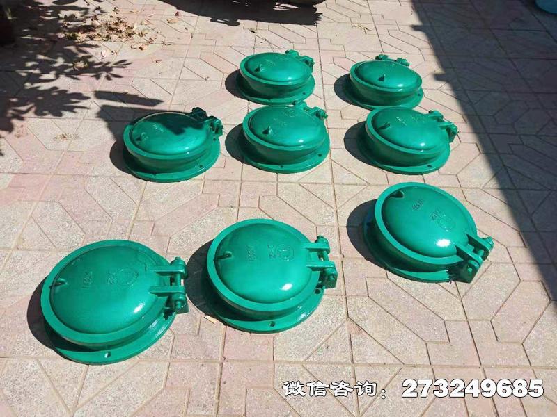 吉水县玻璃钢止水拍门