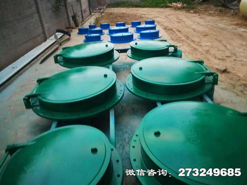 庐山市政管道口玻璃钢拍门