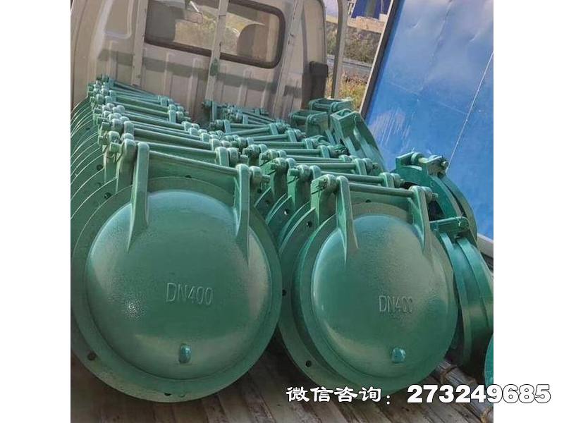 吉水县污水管玻璃钢拍门