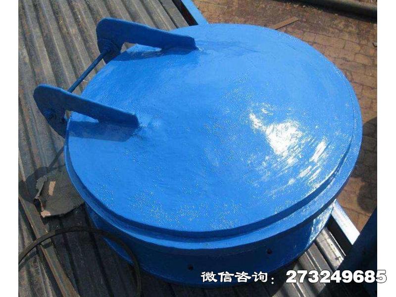 吉水县污水管用玻璃钢拍门