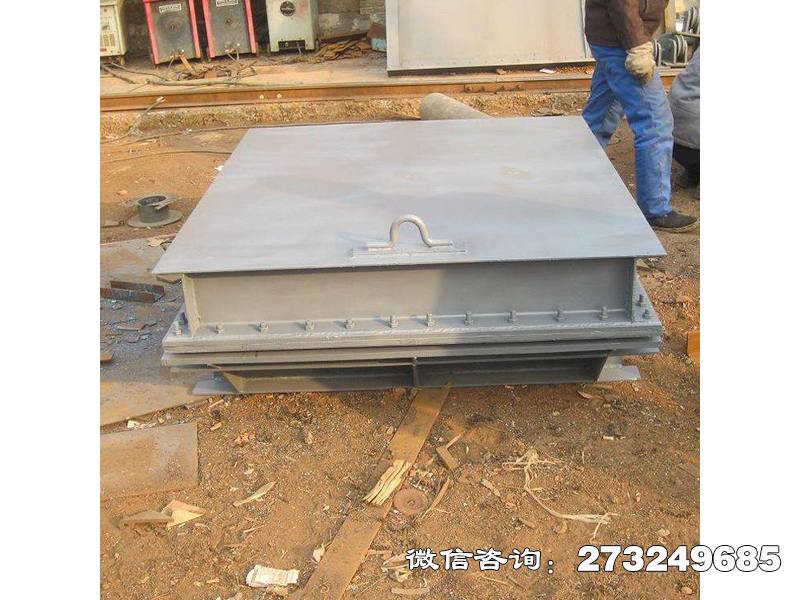 濠江方形钢制拍门