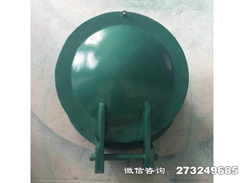 朔城玻璃钢圆形拍门