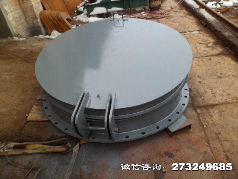 临沭县水库铸铁拍门