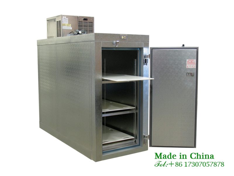 Corpse transport freezer