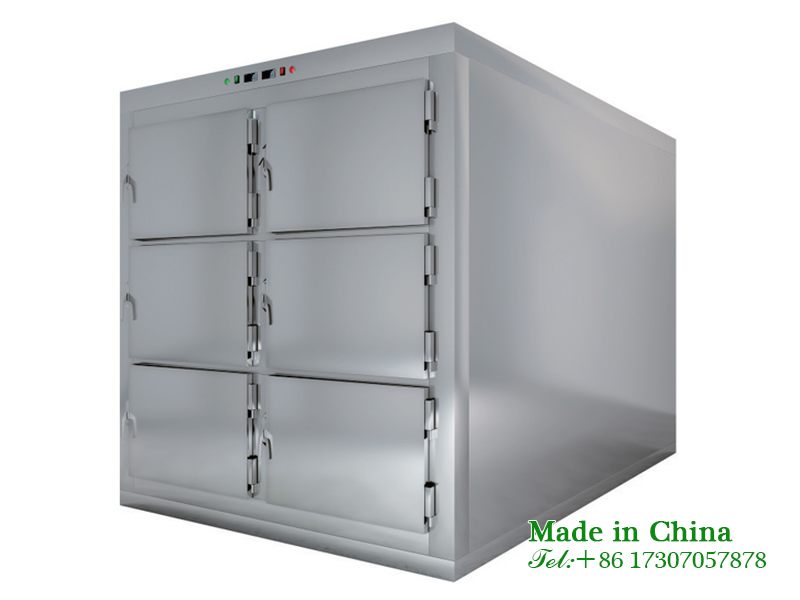 Body freezer storage cabinet