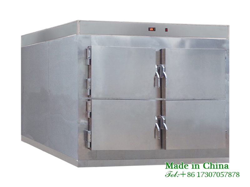 Funeral body freezer