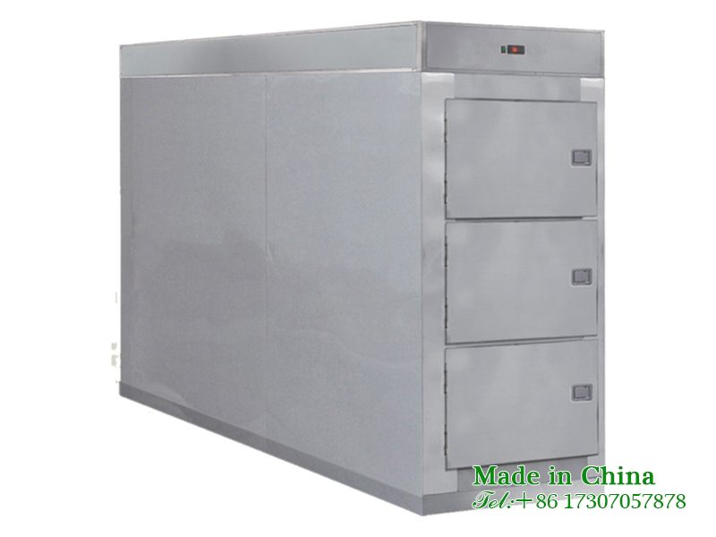 Corpse storage freezer