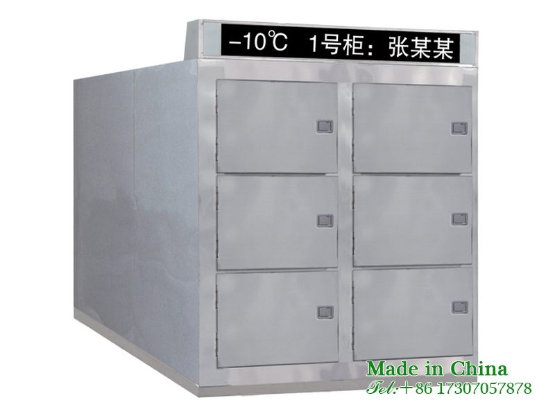 Medical corpse freezer