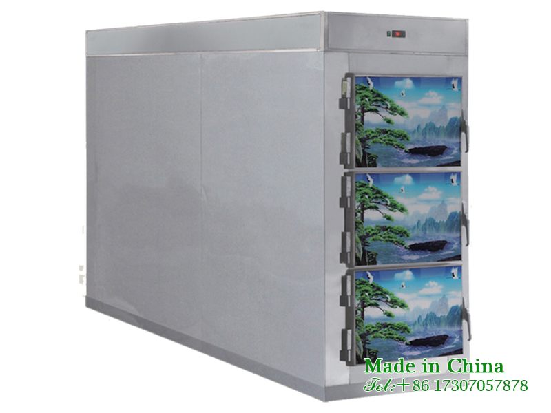Dead person freezer