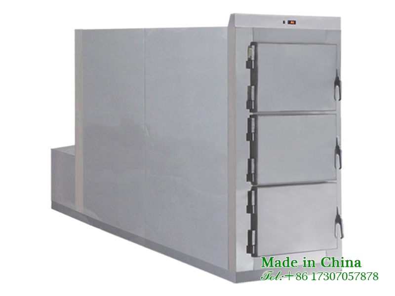 A freezer for storing remains