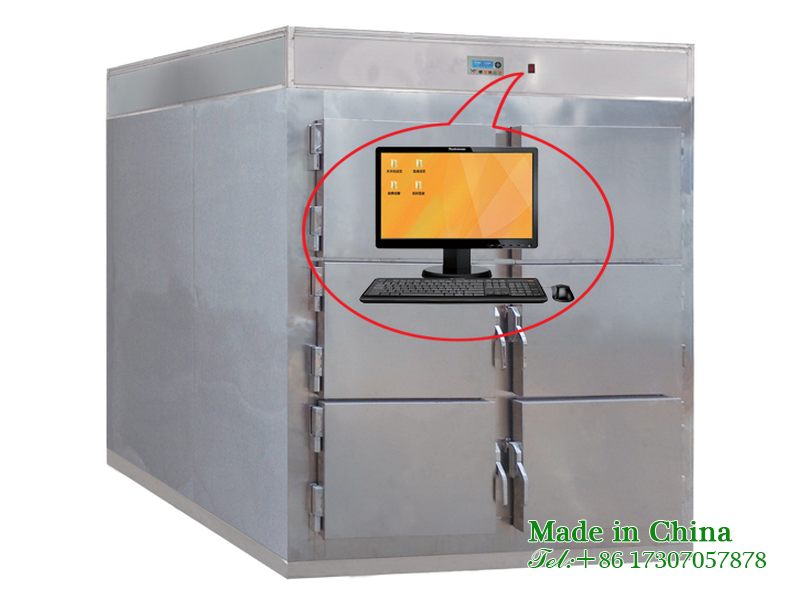 Corpse storage freezer