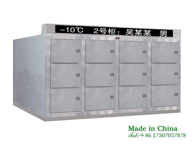 Corpse storage freezer