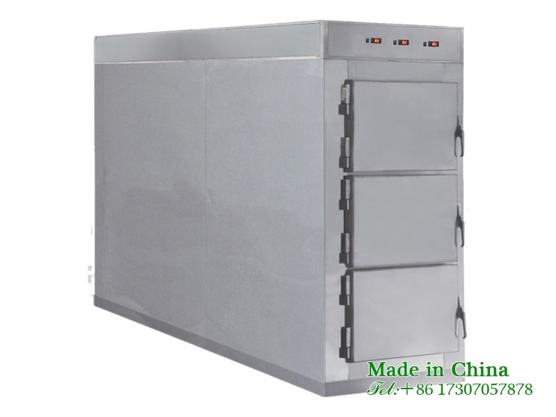Corpse freezing morgue