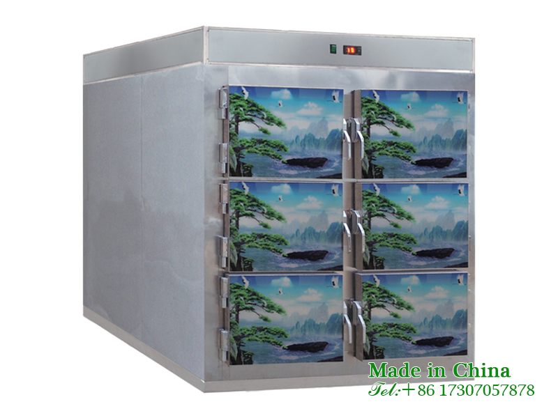 Corpse storage freezer
