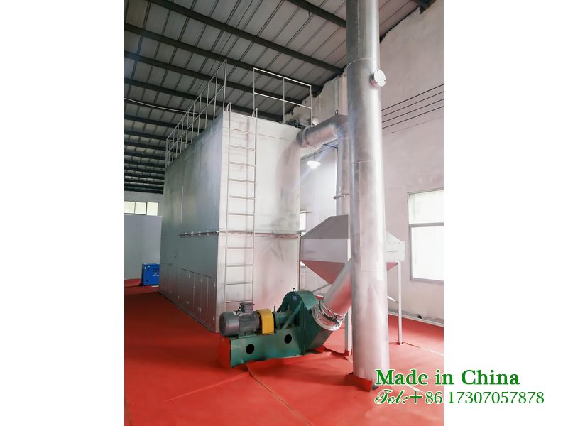 Disposal facilities for tail gas and fly ash from cremation equipment